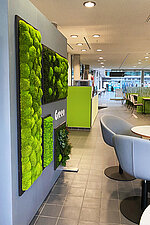 Raumteiler mit echtem Moos